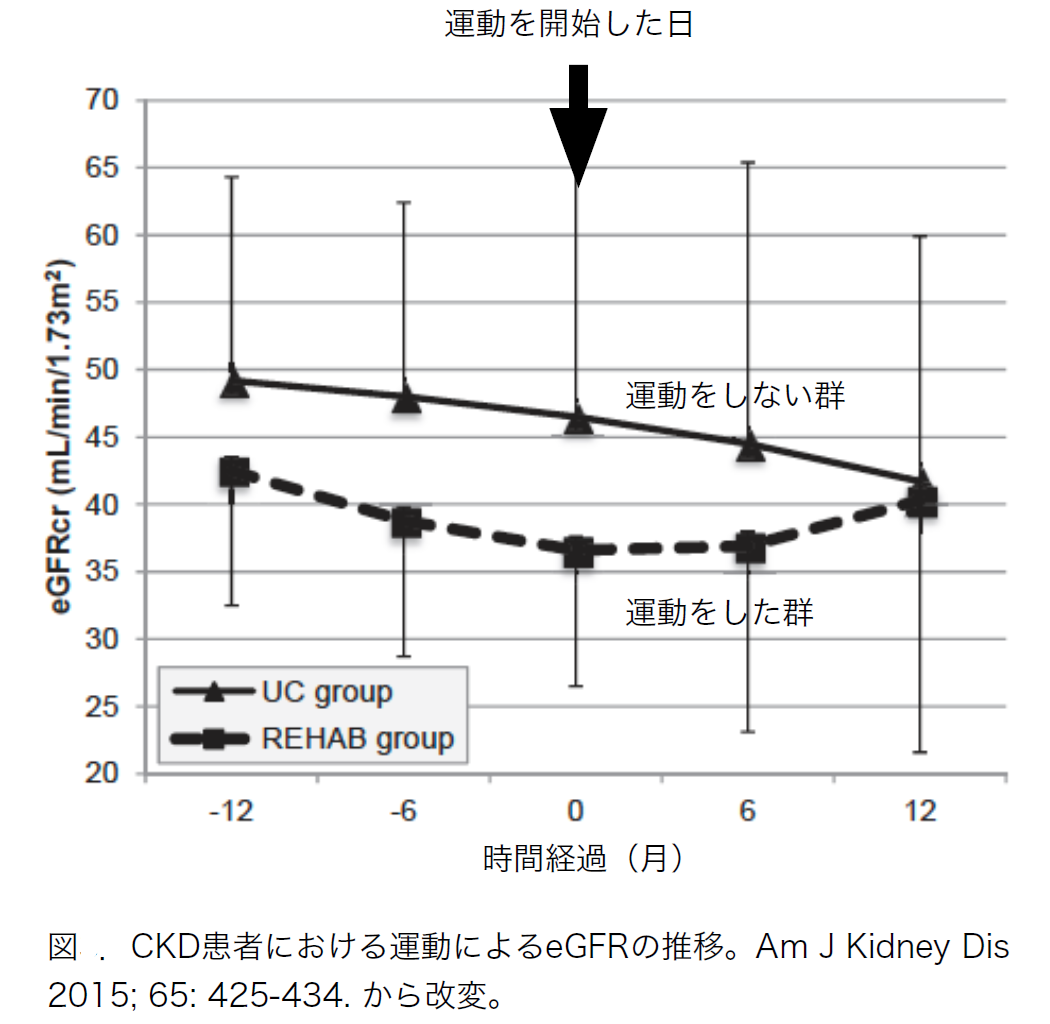 図. CKD患者における運動によるeGFRの推移。Am J Kidney Dis 2015; 65:425-434. から改変